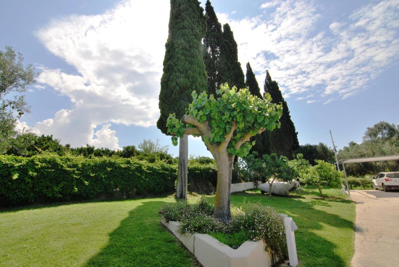 סבורונטה Cypress Garden Villas מראה חיצוני תמונה